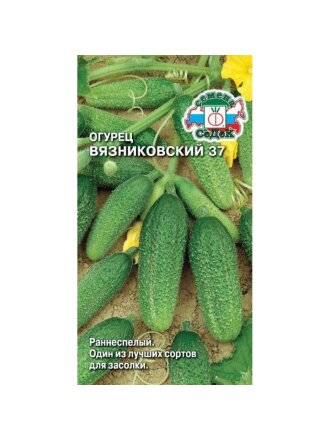 Вязниковский 37