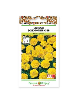 Золотой призер