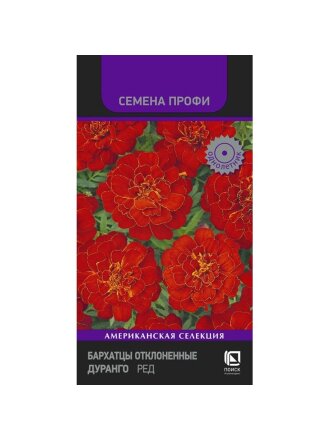 Дуранго Ред