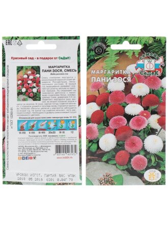 Семена Цветы, Маргаритка, Пани Зося, 0.04 г, цветная упаковка, Седек