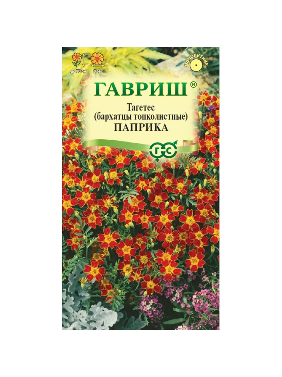 Семена Цветы, Бархатцы, Паприка, 0.05 г, тонколистные, цветная упаковка, Гавриш