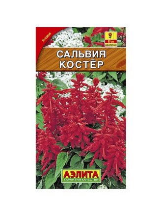 Семена Цветы, Сальвия, Костер, 0.1 г, цветная упаковка, Аэлита