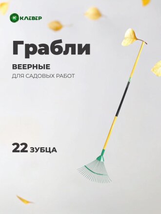 Грабли веерные, 22 зуб, металл, Клевер, усиленные, в ассортименте, черенок деревянный