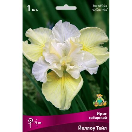 Луковицы Ирис сибирский, Йеллоу Тейл