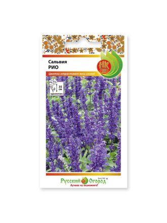 Семена Цветы, Сальвия, Рио, цветная упаковка, Русский огород