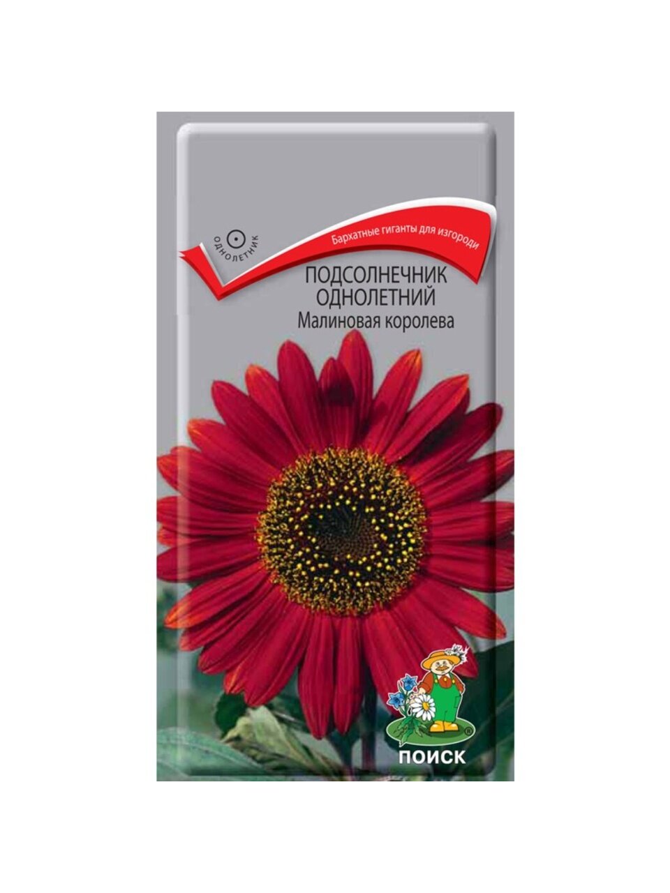 Семена Цветы, Подсолнечник, Малиновая королева, 0.5 г, однолетний, декоративные, цветная упаковка, Поиск