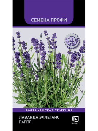 Эллеганс Парпл