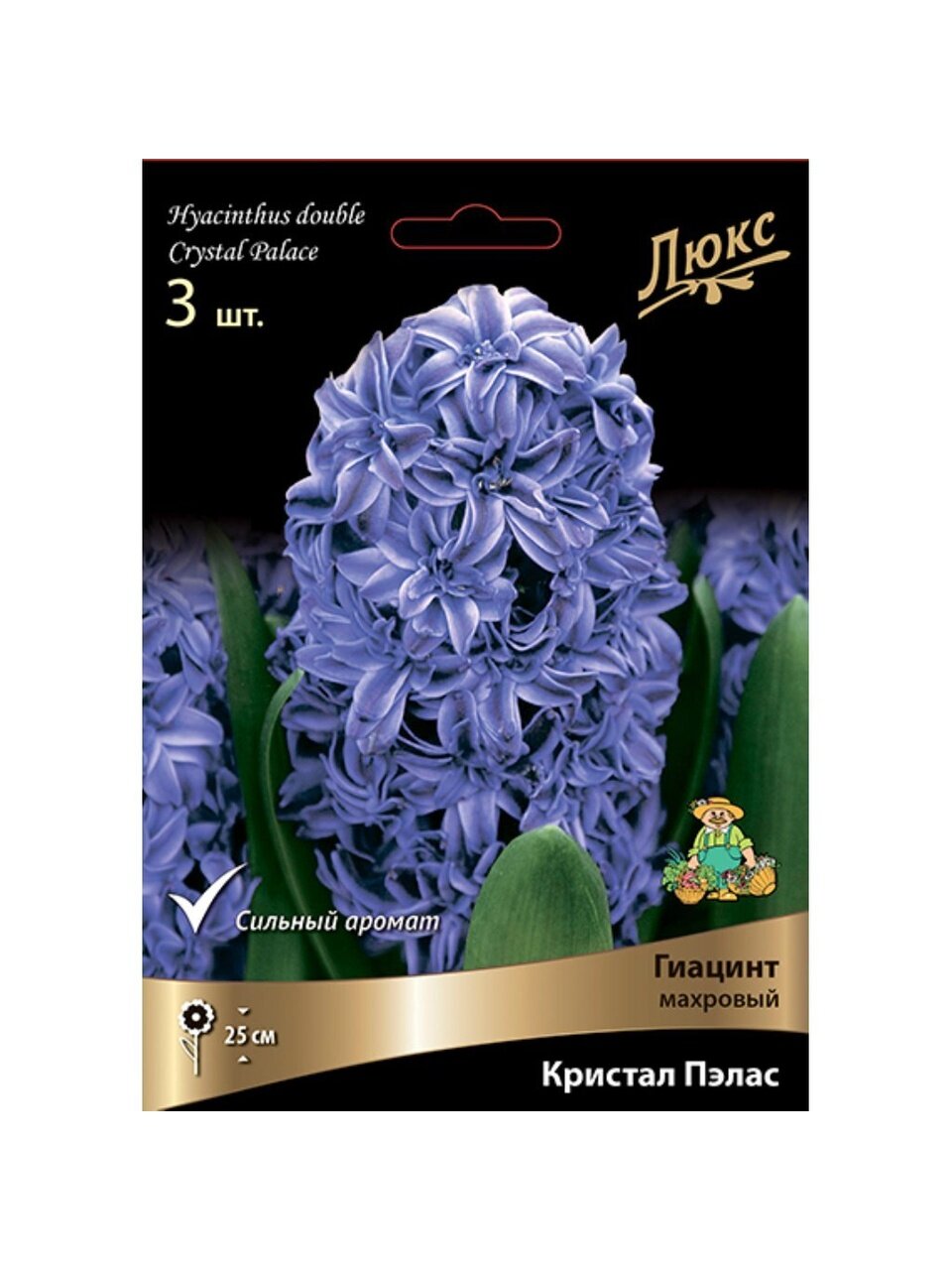 Луковицы Гиацинт махровый, Кристал Пэлас, 15-16/К, 3 шт
