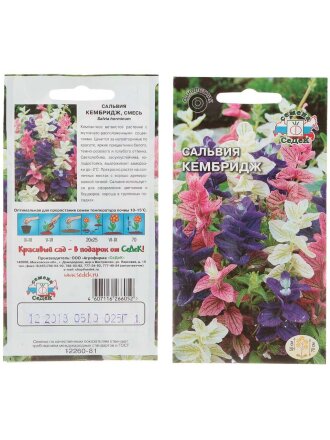Семена Цветы, Сальвия, Кембридж, 0.25 г, цветная упаковка, Седек