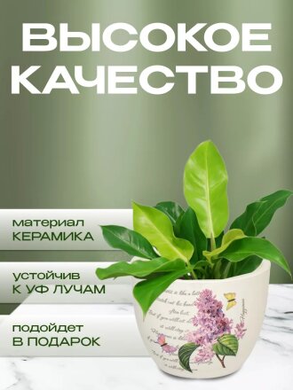 Кашпо керамика, 0.2 л, 6.5х8х8 см, в ассортименте, Цветы малый, Y3-1294/318492