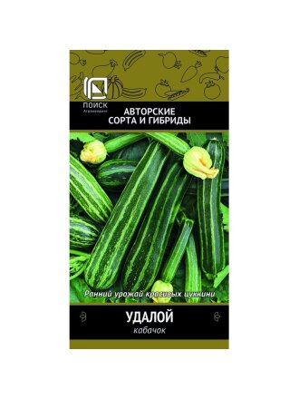 Семена Кабачок, Удалой, цветная упаковка, Поиск