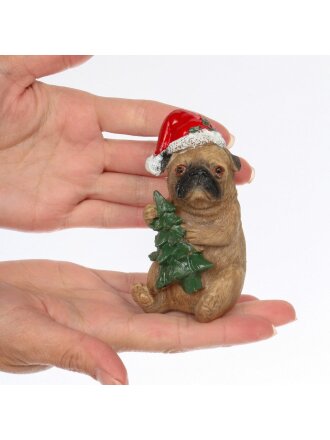 С новым мопсом!