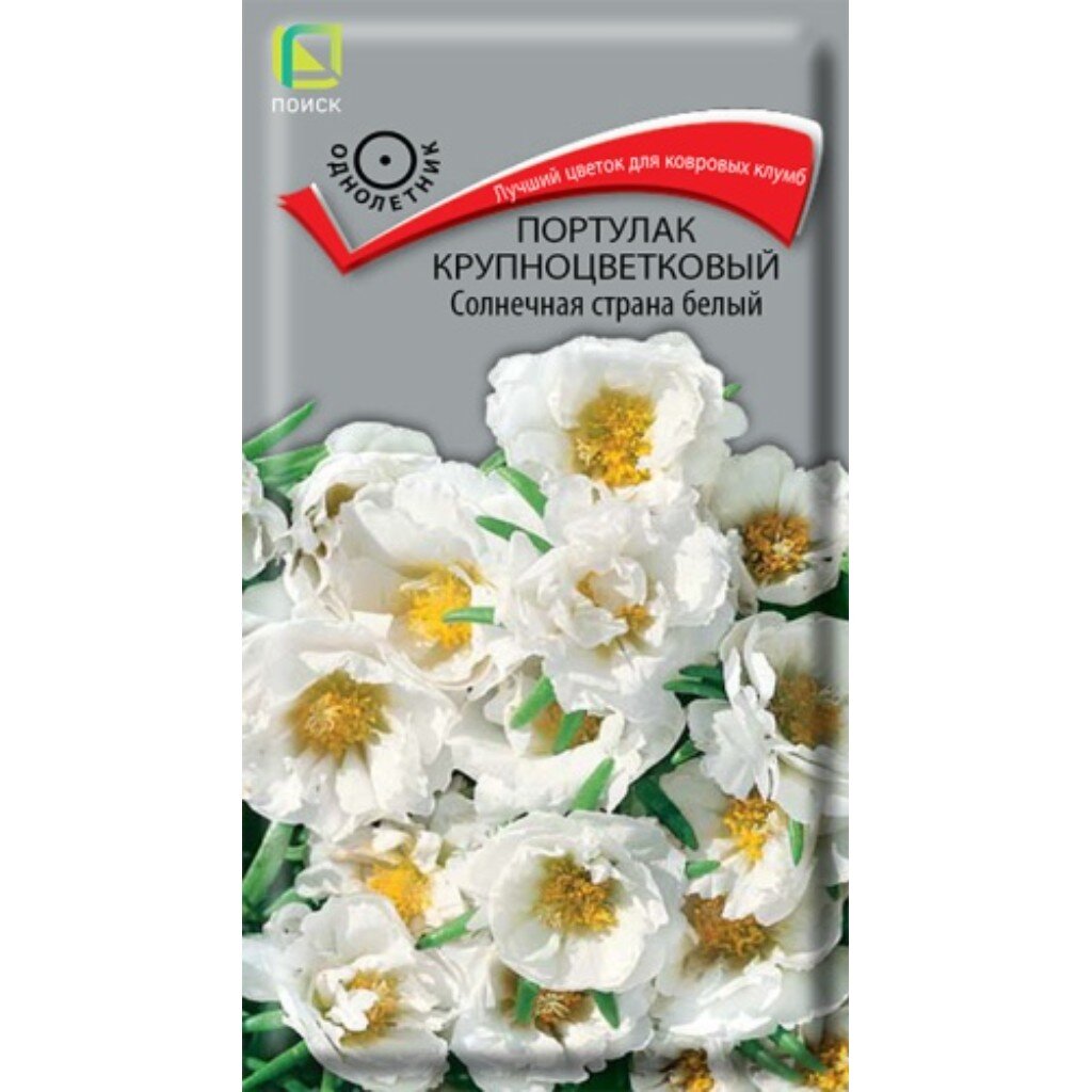 Семена Портулак крупноцветковый Солнечная страна белый (ЦВ) ("1) 0,1гр. Поиск