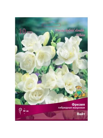 Луковицы Фрезия гибридная махровая, Вайт, 10 шт