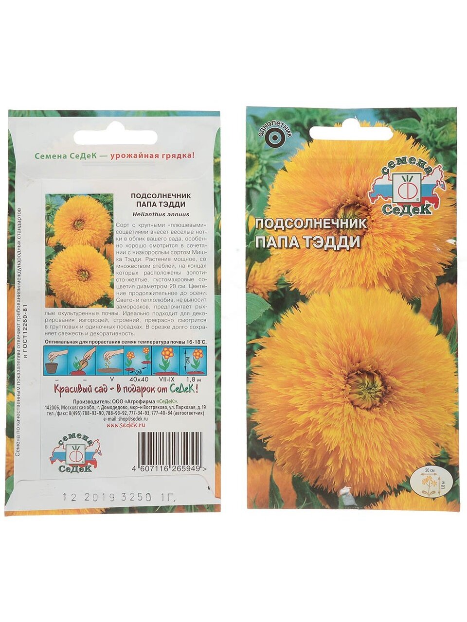 Семена Цветы, Подсолнечник, Папа Тэдди, цветная упаковка, Седек