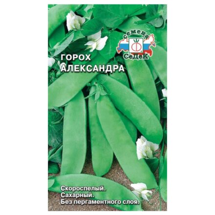 Александра