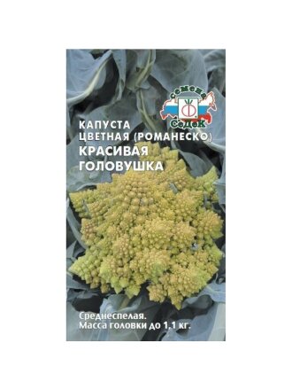 Красивая головушка