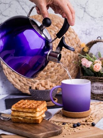 Чайник нержавеющая сталь, 2.5 л, со свистком, зеркальный, ручка пластиковая, Daniks, индукция, фиолетовый, MSY-021P