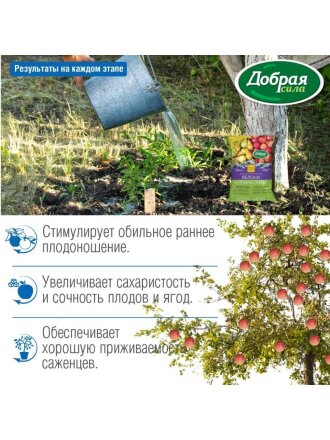 Яблони-Груши-Сливы