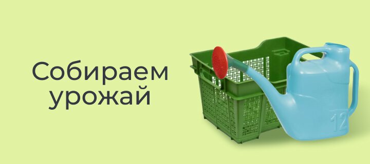 Собираем урожай