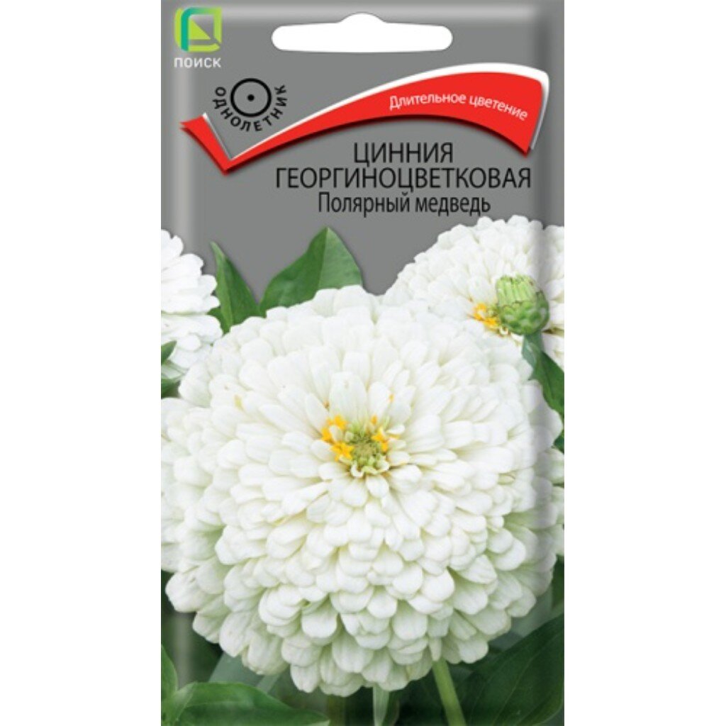 Семена Цинния георгиноцветковая Полярный медведь (ЦВ) ("1) 0,4гр. Поиск