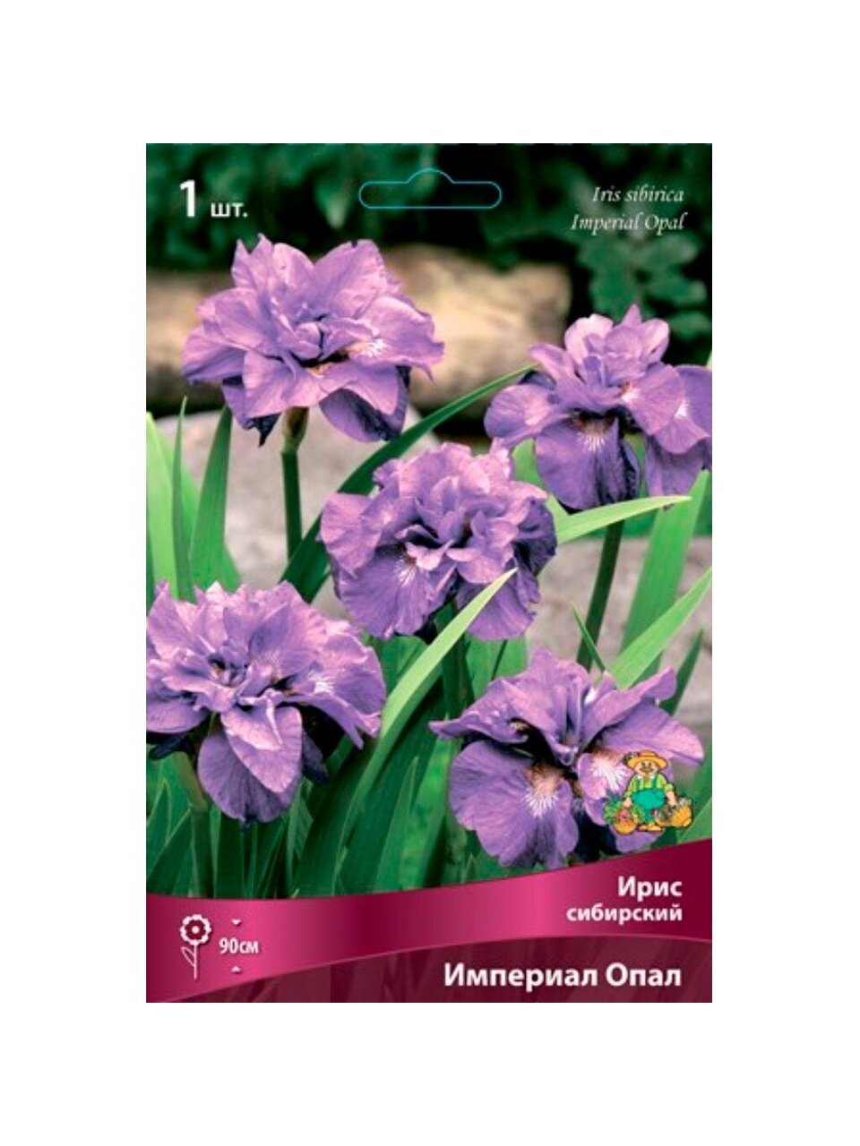 Луковицы Ирис сибирский, Империал Опал