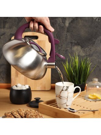 фиолетовая ручка