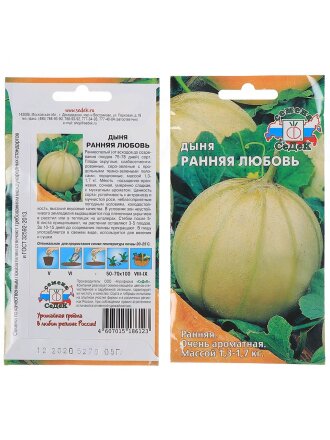 Ранняя любовь