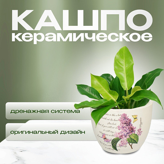 Кашпо керамика, 0.2 л, 8х6.5х6.5 см, в ассортименте, Цветы малый, Y3-1294/318492