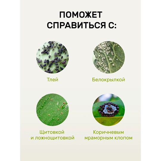 Инсектицид Защищай!, от тли, белокрылки, спрей, 450 мл