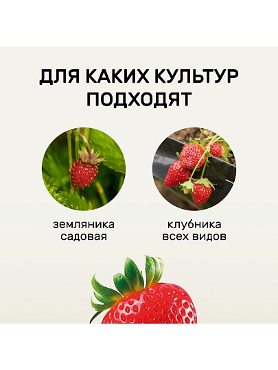 Удобрение Биомолекулы, для клубники, 400 мл, Удобряй!
