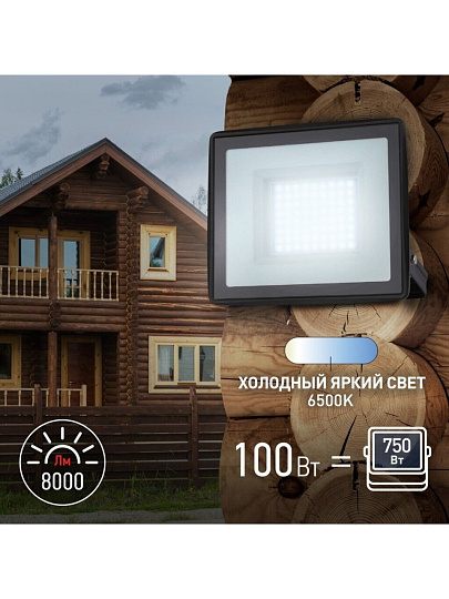 Прожектор светодиодный, Эра, LPR-023-0-65K-100, 100 Вт, 6500 К, IP65, 8000 Лм, Б0052026