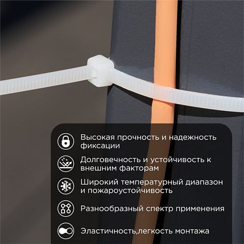Хомут стяж кабельн, 4.8х250 мм, нейлон, 100 шт, бел, Rexant, 07-0250-5