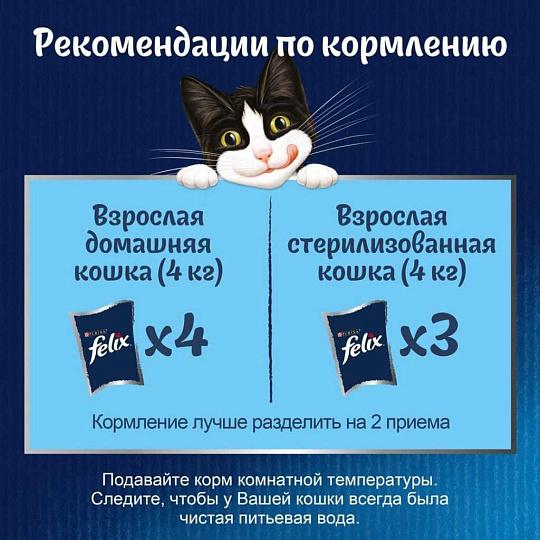 Корм для животных Феликс, Природа вкуса, 75 г, для взрослых кошек, кусочки в соусе, курица, пауч, 12512731