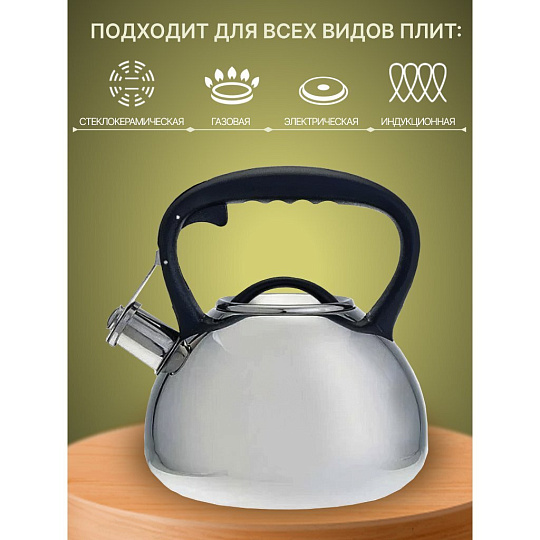 Чайник нержавеющая сталь, 3 л, со свистком, зеркальный, ручка пластиковая, Alpenkok, индукция, AK-516