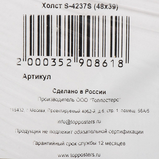 Картина холст, 48х39 см, S-4237S