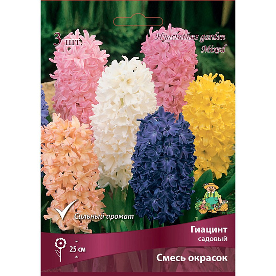 Луковицы Гиацинт садовый, смесь окрасок