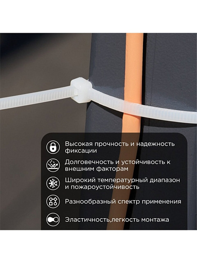 Хомут стяжной кабельный, 3.6х250 мм, нейлон, 25 шт, белый, Rexant, 07-0250-25
