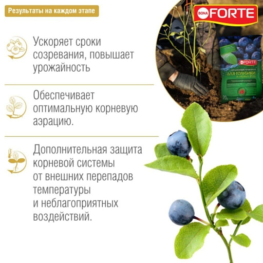 Грунт для голубики и лесных ягод, 20 л, Bona Forte