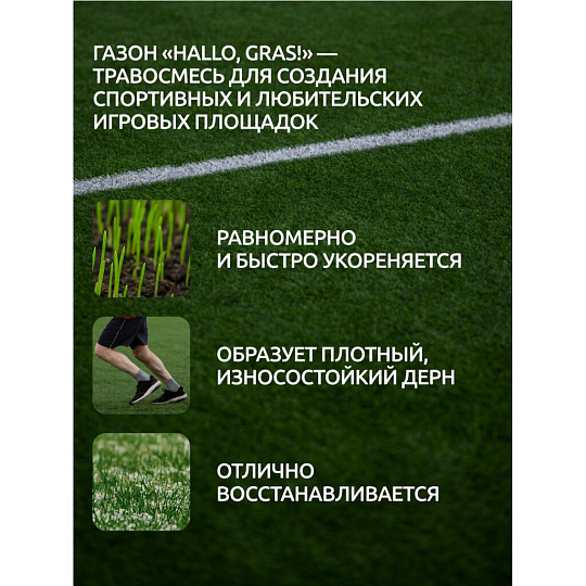 Семена Газон, Sport Meister Gras, 1 кг, мешок, ГазонCity