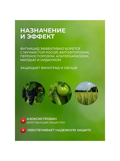 Фунгицид Интрада, защита овощных и полевых культур, 50 мл, жидкость, Avgust