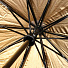 Зонт для женщин, автомат, 10 спиц, 60 см, полиэстер, золотой, Y822-061 - фото 3