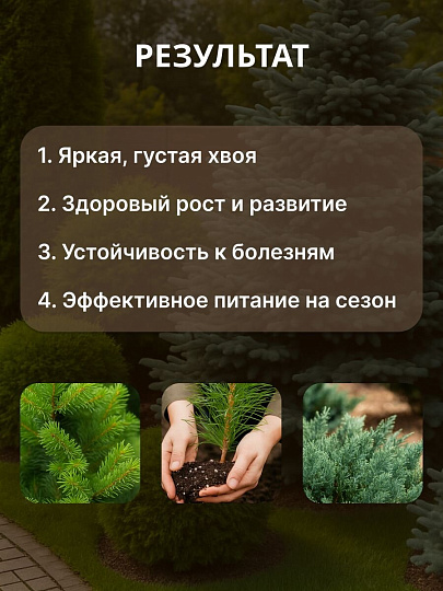 Удобрение для хвойных, с микроэлементами, 2.5 кг, Agros