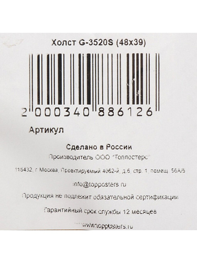 Картина холст, 48х39 см, G-3520S