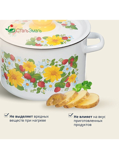 Кастрюля эмалированная сталь, 4.5 л, крышка сталь, СтальЭмаль, 1с17с, в ассортименте, индукция