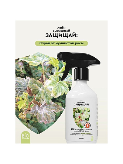 Фунгицид от мучнистой росы, 450 мл, спрей, Защищай!