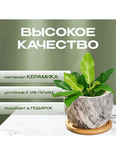 Горшок керамика, 0.2 л, 8.5х8.5х7 см, для кактусов и суккулентов, Мини, Y4-5358
