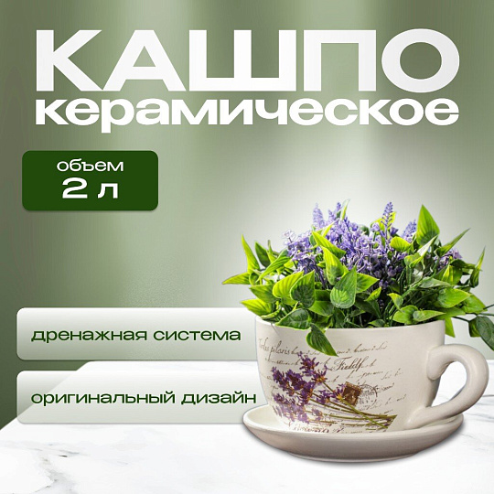 Горшок керамика, 2 л, 19х12 см, Лаванда чайная чашка большая, Y3-1290/318488