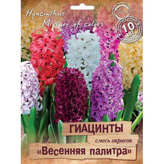 Луковицы Гиацинт, Весенняя палитра, 14-15/ПрУп, 10 шт