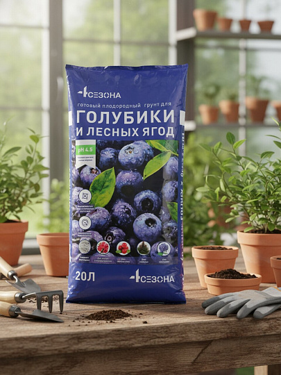 Грунт Для голубики и лесных ягод, 20 л, Четыре сезона